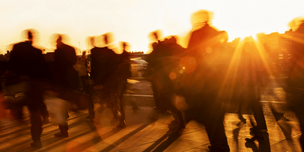 Future of the legal industry